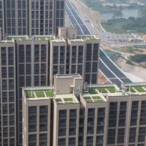 宝振-翔安新区屋顶绿化