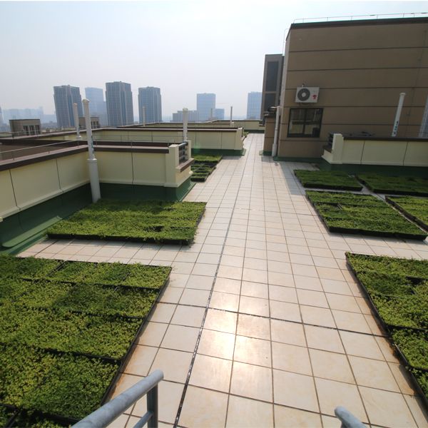 宝振-翔安新区屋顶绿化