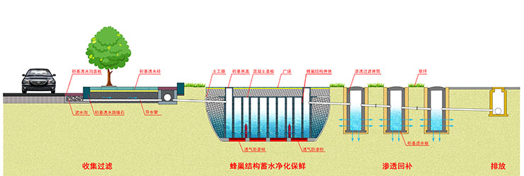 雨水专家.jpg